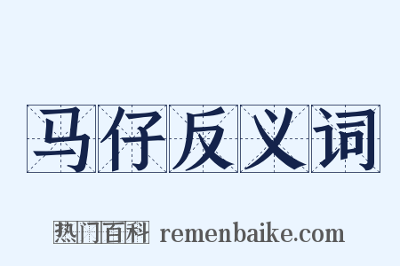 马仔反义词是什么意思的图片